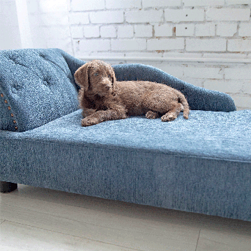 Solana Chaise Lounger, Blue