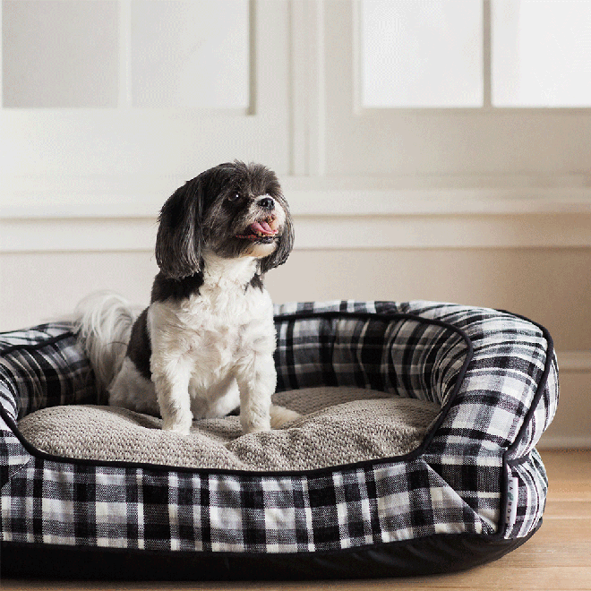 Tucker Sofa Bed, Spencer Plaid