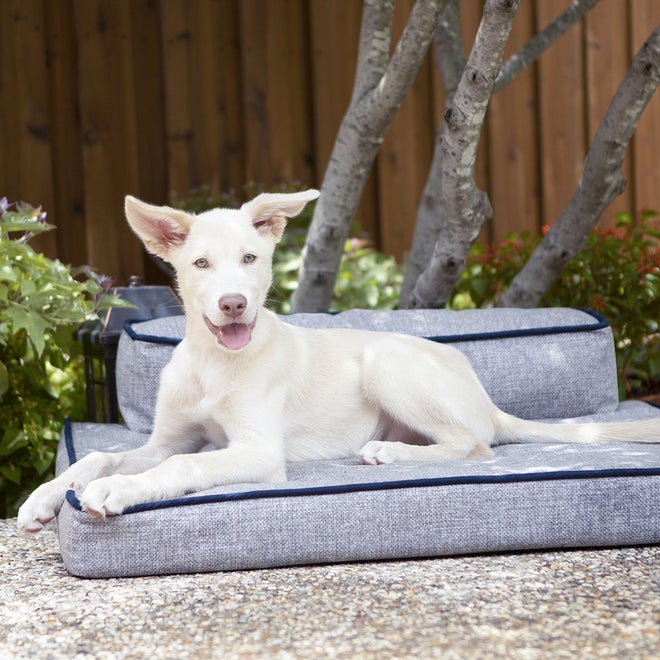 Beau Indoor/Outdoor Bed